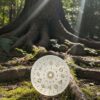 Selenite Engraved Horoscope Charging Plate: Celestial Alignment & Auric Reset (2.75–4 Inch) VTrendz