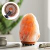 Light Bulbs for Himalayan Salt Lamps & Baskets, Chandeliers, Scentsy & Wax Warmers, E12 Socket Incandescent Candelabra Salt Lamp Bulb Long Lasting 25 Watt VTrendz