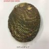 Abalone Shell Smudge Bowl | Vessel of Ocean and Fire - Image 4