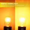 Light Bulbs for Himalayan Salt Lamps & Baskets, Chandeliers, Scentsy & Wax Warmers, E12 Socket Incandescent Candelabra Salt Lamp Bulb Long Lasting 25 Watt VTrendz